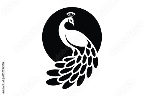 White peacock silhouette with fanned tail feathers in a black circle on white bird animal