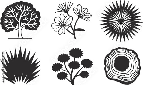 Stylized plant and tree graphic set, nature silhouette, botanical elements, wood texture, and flower design vector
