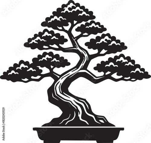 bonsai tree isolated on white