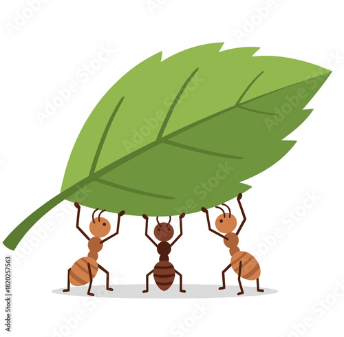 Cartoon vector illustration of three small ants working together to carry a large green leaf over a white background.
