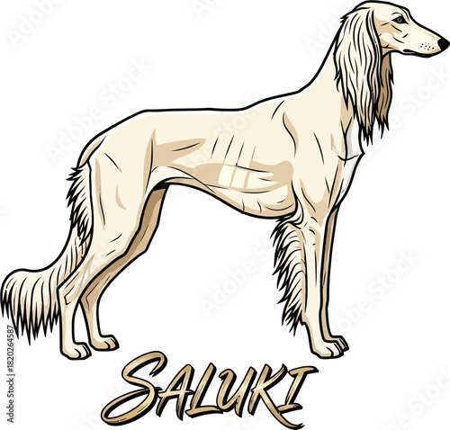 Elegant Cream Saluki Dog Illustration with Text