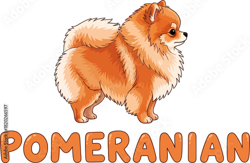 Cute Cartoon Pomeranian Dog Illustration