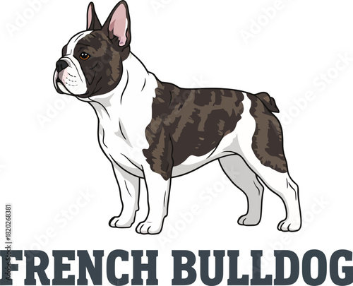 French Bulldog illustration with text