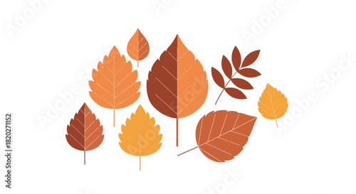 A collection of stylized autumn leaves in various shades of orange and brown, arranged in a cluster against a white background.