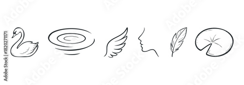 Collection of delicate line drawings featuring a swan, water ripples, a wing, a profile silhouette, a feather, and a lily pad. Ideal for creating elegant and natural compositions.