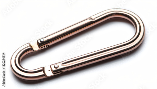 Carabiner clip image