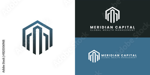 The central bars symbolize growth and capital management. They are surrounded by a robust hexagonal shield that provides protection and structure. This modern geometric design represents global wealth