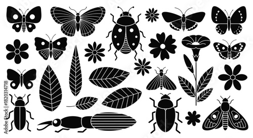 Elegant black insects and flowers vector for nature-themed design
