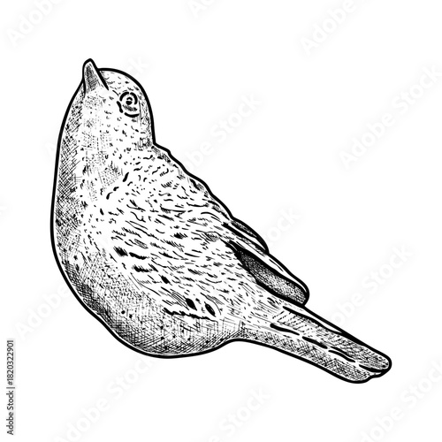 Hand drawn bird figurine in vintage style. Vector illustration.