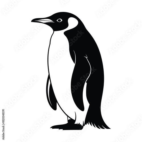 A black and white illustration of an emperor penguin standing upright, showcasing its distinctive plumage and posture