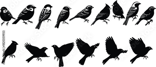 Bird silhouettes collection featuring perched and flying songbirds, detailed black vector illustrations ideal for design, nature themes, wildlife artwork, and decoration.