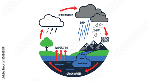 Understanding the water cycle with clear diagram for climate education