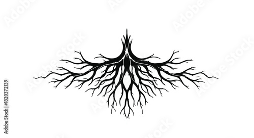 Intricate branching root system symbolizes growth, connection, and natural foundation