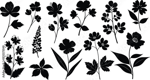 Black Silhouette Flower and Plant Branch Illustrations white