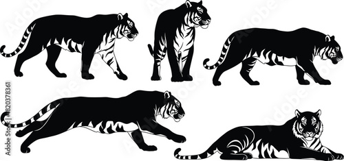 Black Silhouette Tiger Poses Collection Isolated on White Background animal wildlife