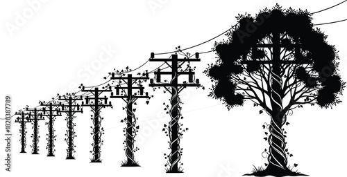 Silhouette of a row of telephone poles entwined with vines leading to a large tree electricity power line