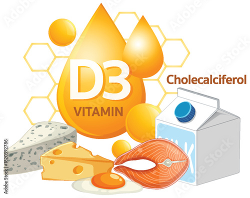 Vitamin D3 Sources with Dairy, Fish, Cheese, and Egg