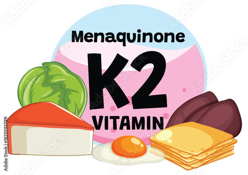 Vitamin K2 Rich Foods and Menaquinone Sources Vector Illustration