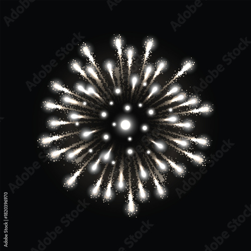 A single white glittering firework exploding in a spherical burst against a dark night sky.