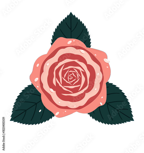 Pink Rose Illustration with Green Leaves