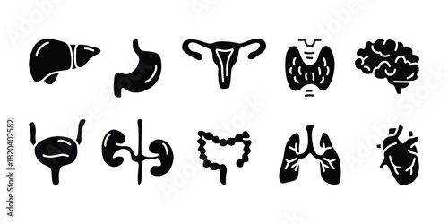 Human Organs Icon Set. Medical Anatomy Silhouette Pack. Anatomy Symbols for Healthcare Design