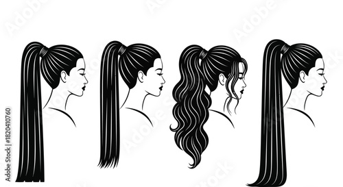 Ponytail hairstyles collection for your beauty salon advertisement use