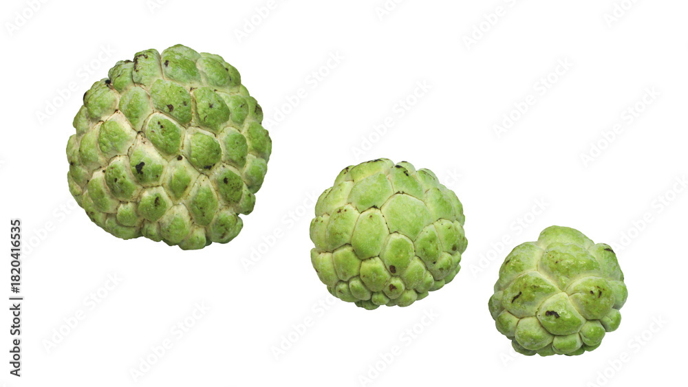 Fototapeta premium Rows of tropical fruit srikaya 