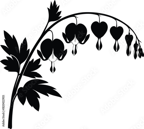 Bleeding heart flower silhouette vector botanical illustration design eps