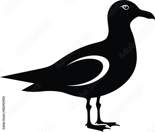 Black seagull vector illustration seabird silhouette graphic design art eps