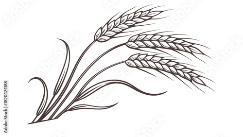 Elegant wheat illustration ready for harvest season, perfect for agriculture and baking themed designs
