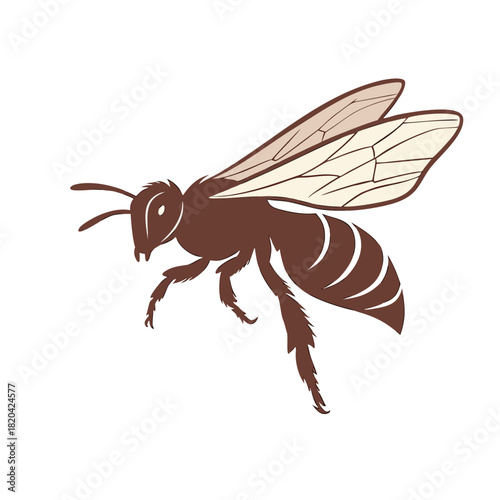 Detailed honeybee illustration, perfect for educational materials highlighting the importance of pollinators