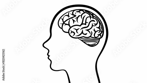 Creative human head outline showing brain, conceptual thinking and mental health awareness illustration