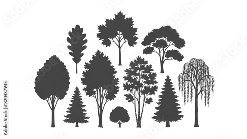 Collection of Silhouette Trees A Variety of Deciduous and Evergreen Trees in Black and White