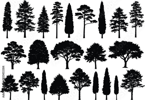 Silhouette collection of diverse tree shapes, forest and landscape elements, black botanical tree set for nature design, illustration bundle vector