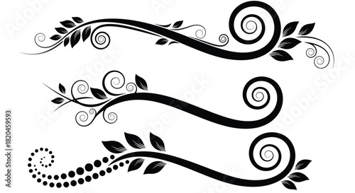 Elegant swirl flourish borders, ideal for invitations and announcements