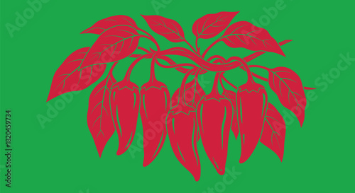 Black and white graphic of jalapeño peppers on the vine vector art