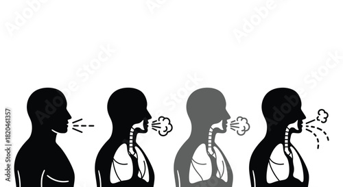 Human body breathing stages illustration for medical infographics