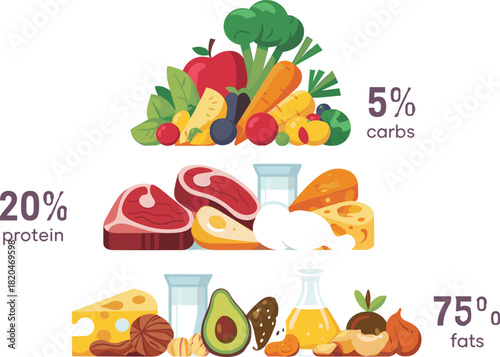 Keto diet food illustration showing macronutrient ratio with low carbs, moderate protein, high healthy fats, balanced nutrition infographic design