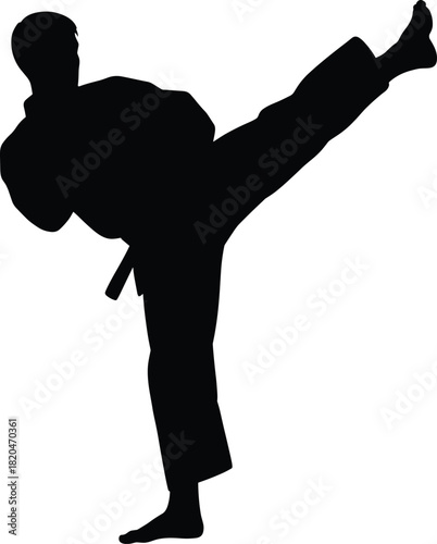 Martial artist silhouette performing high kick in fighting stance, karate training pose illustration for sports, fitness, self-defense themed designs