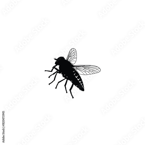 Detailed silhouette of a common housefly on a stark white background