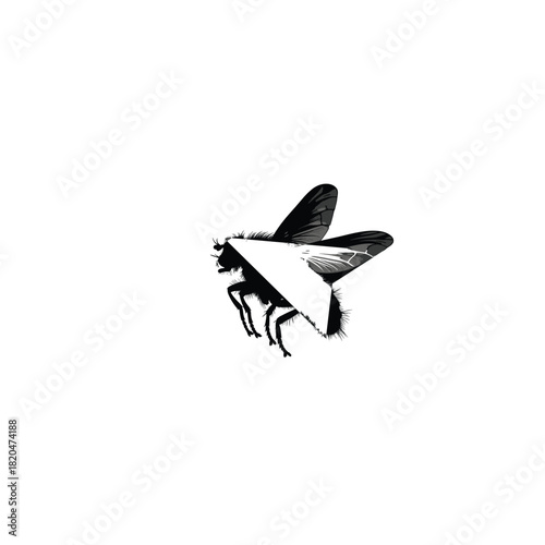 Hands dispensing pills from a bottle onto a blister pack for medication management