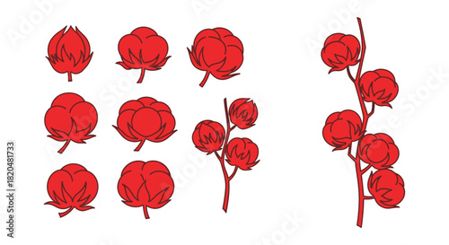 Red cotton flower vector illustration clip art design and graphics
