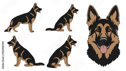 German Shepherd Dog Illustration Collection Poses, Head, and Breed Representation