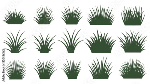 Set of Various Green Grasses and Bushes in Vector Illustration for Design