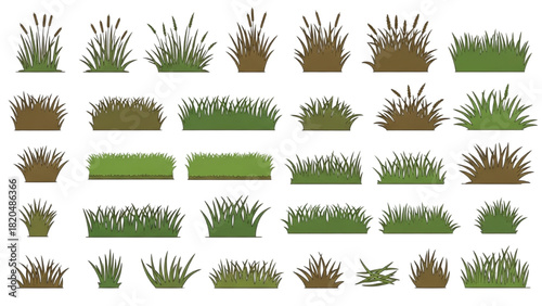 Variety of Realistic Grass Clumps and Tuft Illustrations for Graphic Projects