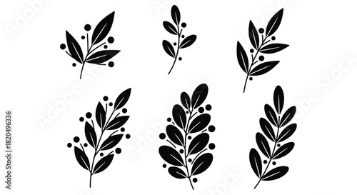 Elegant botanical leaves and berries for simple design elements