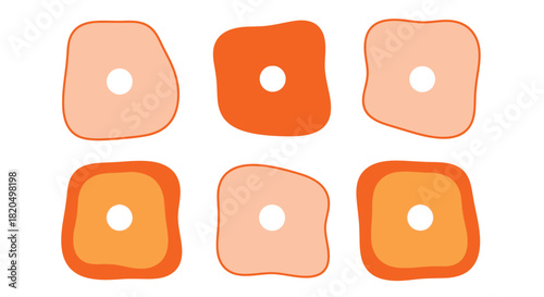 Explore cell structures with this clear and colorful science graphic