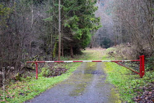Closed metal barrier blocking a forest road in a natural outdoor area.