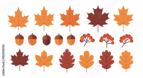Autumn leaves and acorns in various colors and shapes, arranged in rows.
