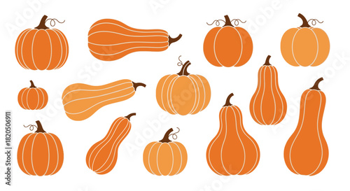 A collection of various orange pumpkins and gourds in different shapes and sizes, depicted in a flat vector art style.